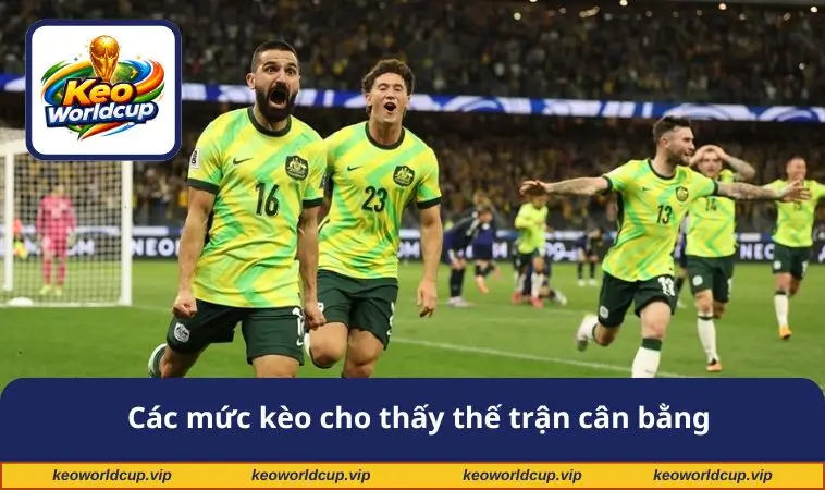 Các mức kèo cho thấy thế trận cân bằng