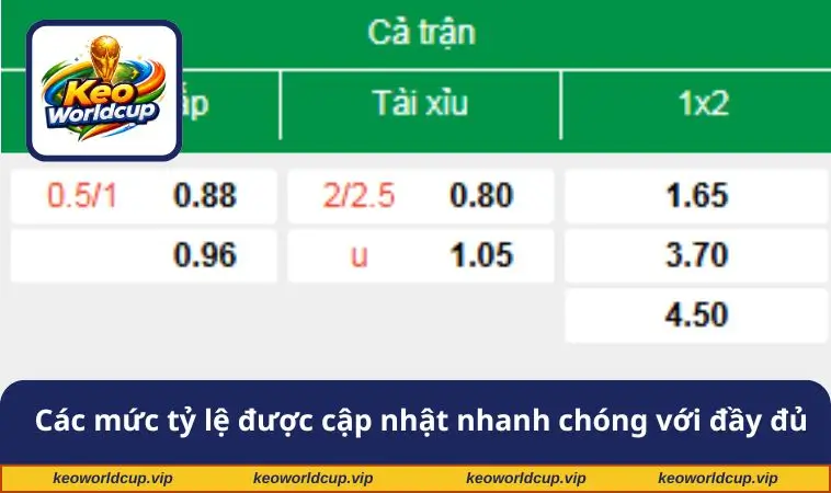 Các mức tỷ lệ được cập nhật nhanh chóng với đầy đủ