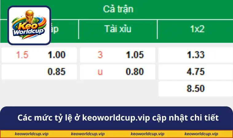 Các mức tỷ lệ ở keoworldcup.vip cập nhật chi tiết