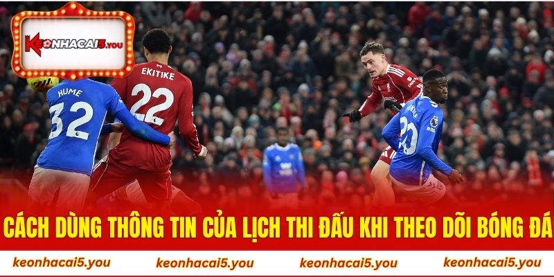 Cách dùng các thông tin của lịch thi đấu khi theo dõi bóng đá