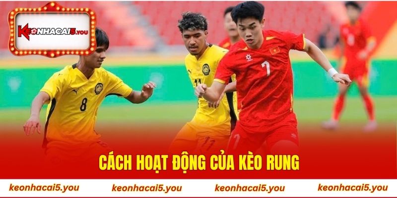 Cách hoạt động của kèo rung