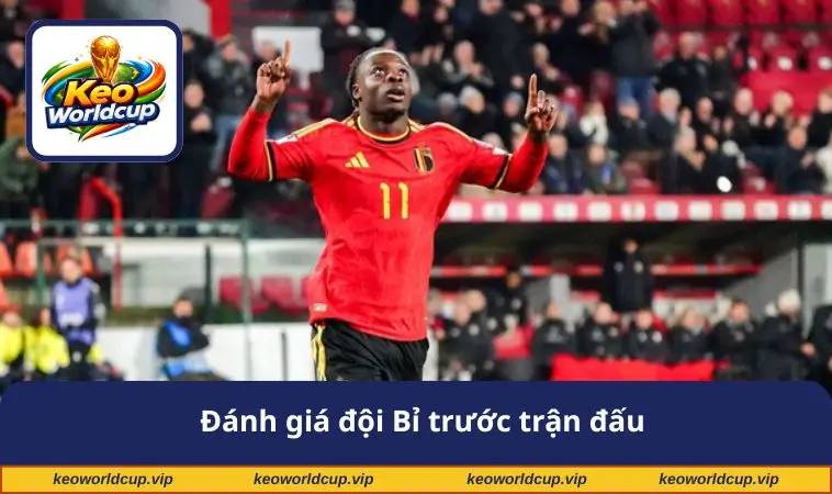 Đánh giá đội Bỉ trước trận đấu