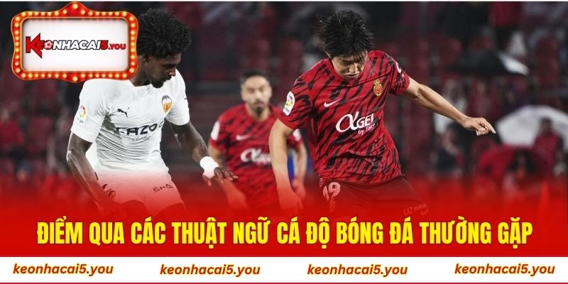Điểm qua các thuật ngữ cá độ bóng đá thường gặp