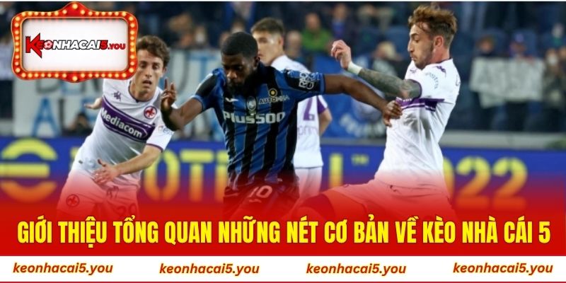 Giới thiệu tổng quan những nét cơ bản về Kèo Nhà Cái 5