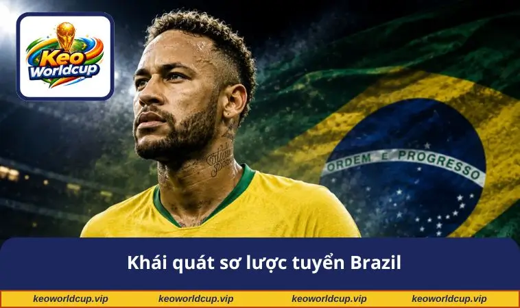Khái quát sơ lược tuyển Brazil