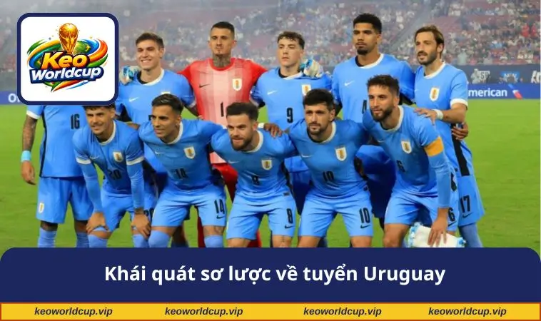 Khái quát sơ lược về tuyển Uruguay