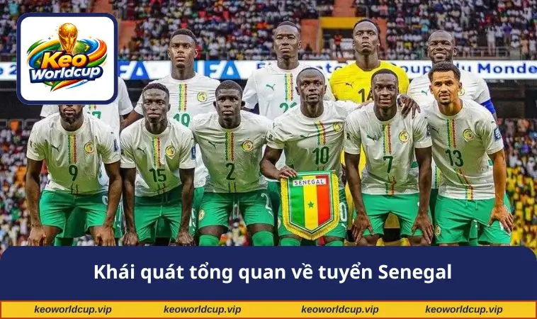 Khái quát tổng quan về tuyển Senegal