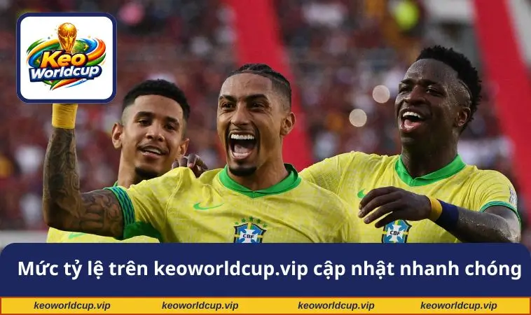 Mức tỷ lệ trên keoworldcup.vip cập nhật nhanh chóng