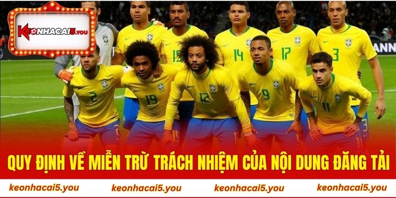 Quy định về miễn trừ trách nhiệm của nội dung đăng tải