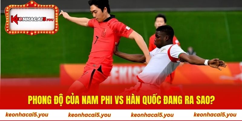 Phong độ của Nam Phi vs Hàn Quốc đang ra sao?