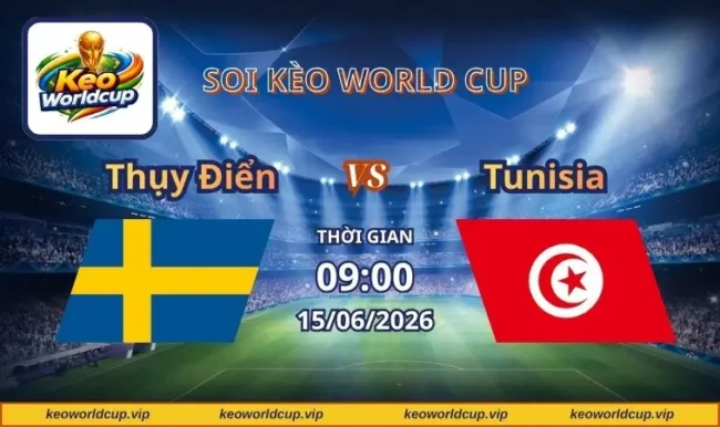 Soi kèo World Cup Thụy Điển vs Tunisia