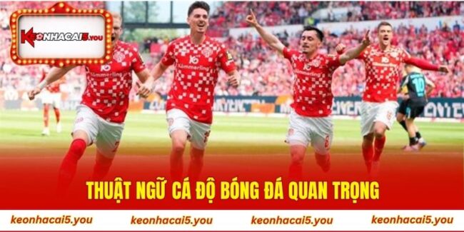 Thuật ngữ cá độ bóng đá