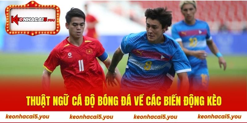 Thuật ngữ cá độ bóng đá về các biến động kèo