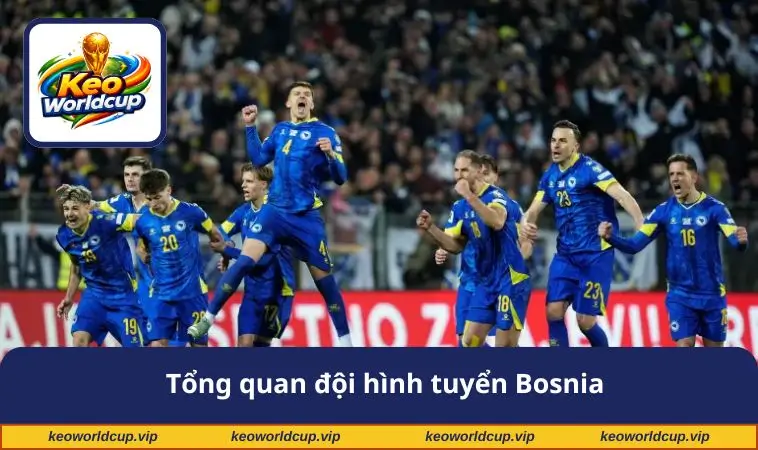 Tổng quan đội hình tuyển Bosnia