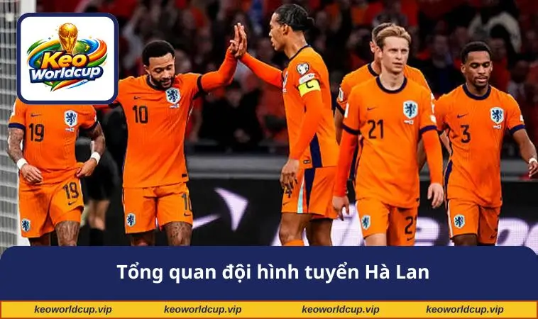 Tổng quan đội hình tuyển Hà Lan