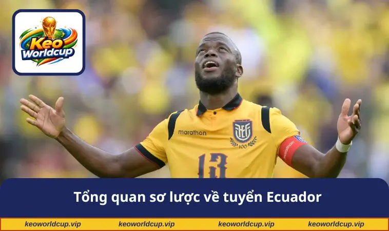 Tổng quan sơ lược về tuyển Ecuador
