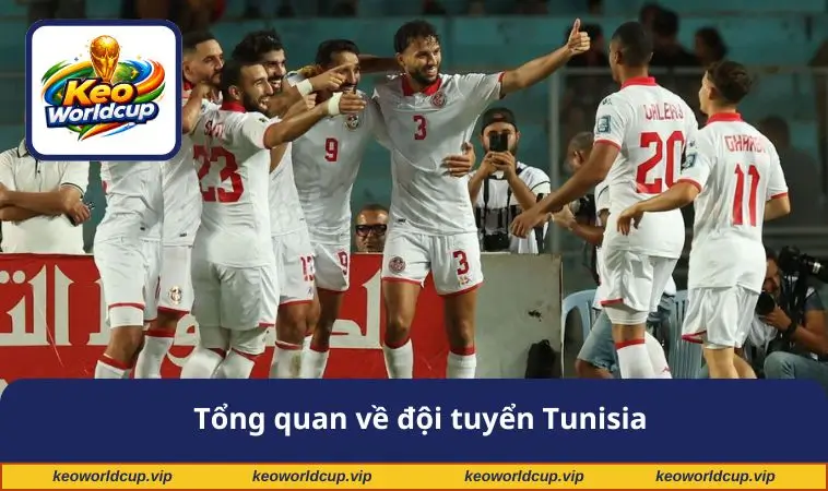 Tổng quan về đội tuyển Tunisia