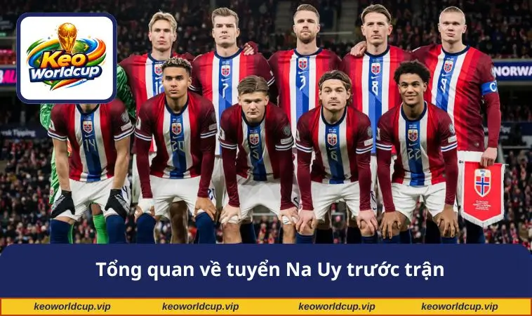 Tổng quan về tuyển Na Uy trước trận