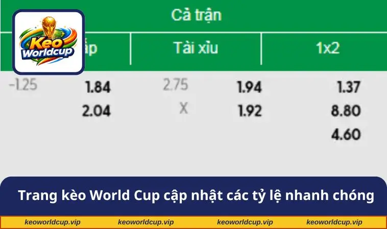 Trang kèo World Cup luôn cập nhật các tỷ lệ nhanh chóng
